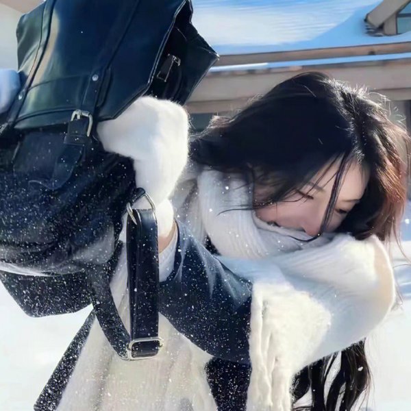 狐狸猎手队